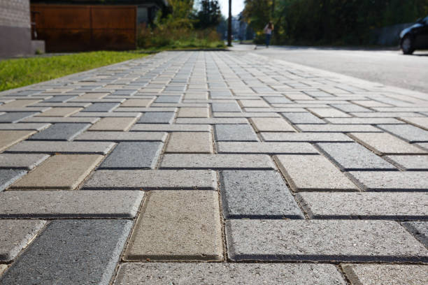Best Local Driveway Pavers  in Griswold, IA