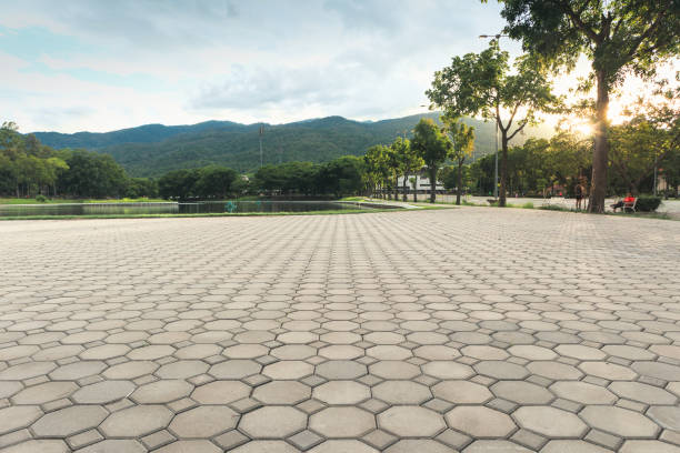 Best Concrete Paver Driveway  in Griswold, IA