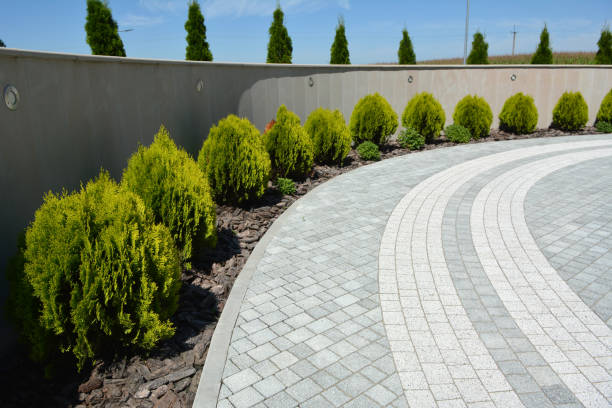 Best Best Driveway Pavers  in Griswold, IA